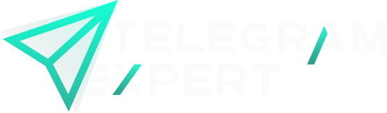Telegram Expert Logo