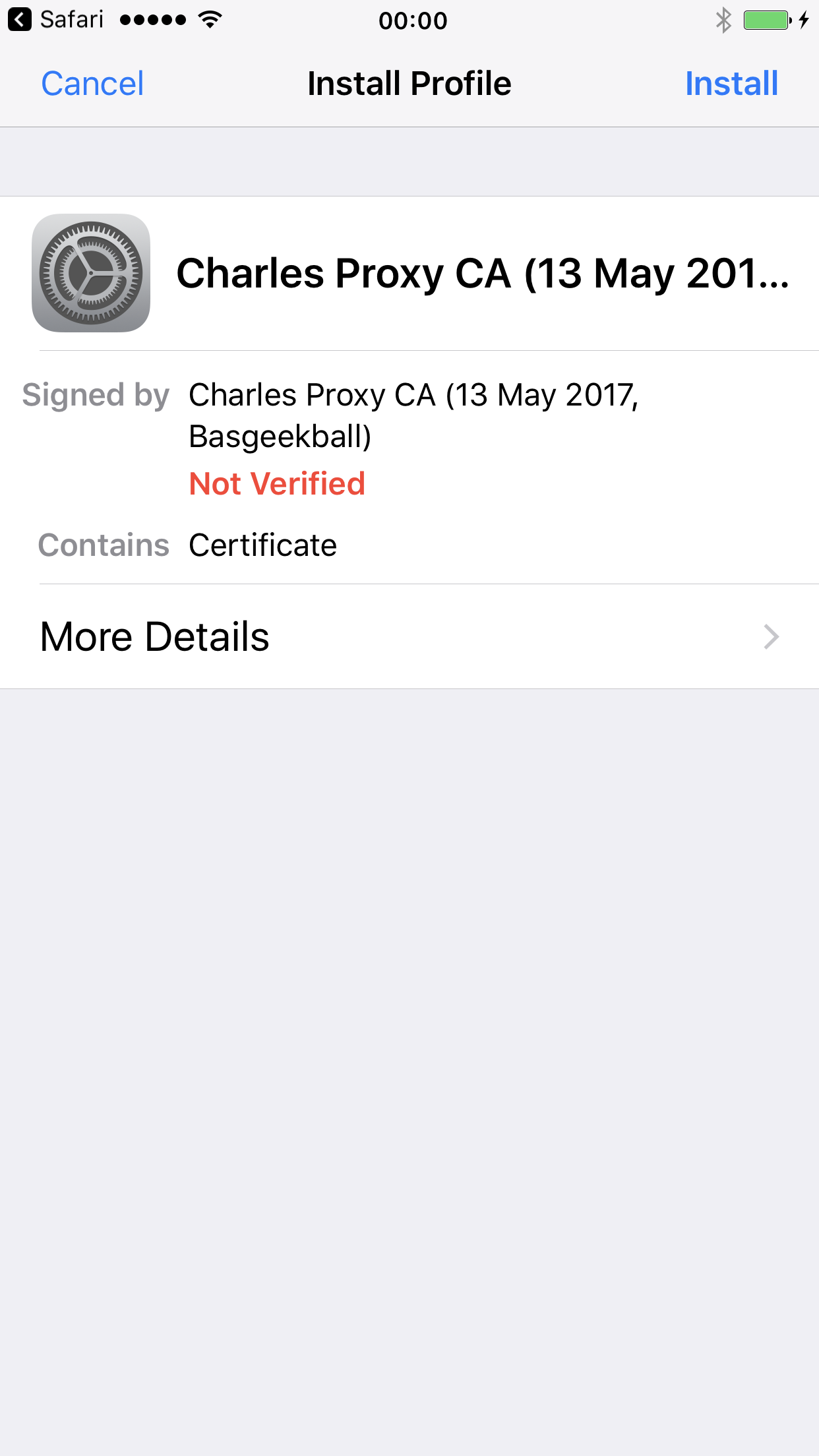 Installing the Charles Proxy configuration profile in iOS Settings